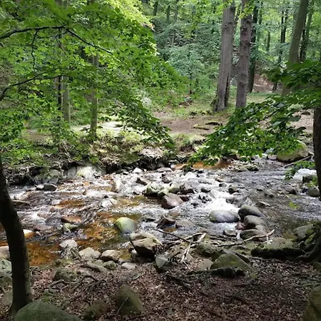 Familienspass & Waldwege In Ilsenburg, Cleaning Included * Ilsenburg