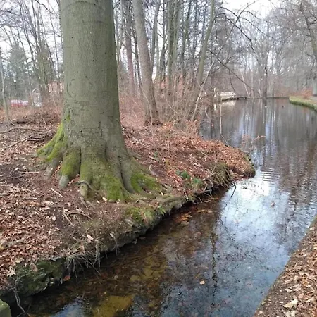 Сasa de vacaciones Familienspass & Waldwege In Ilsenburg, Cleaning Included Ilsenburg