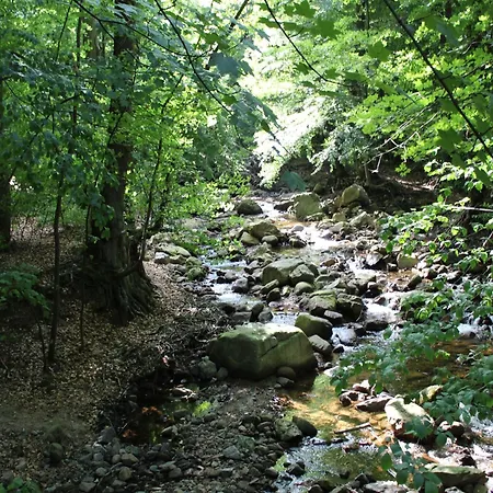 Familienspass & Waldwege In Ilsenburg, Cleaning Included Сasa de vacaciones